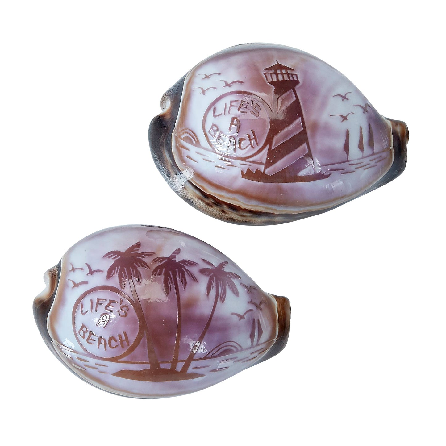 "LIFE'S A BEACH" Carved Cowrie