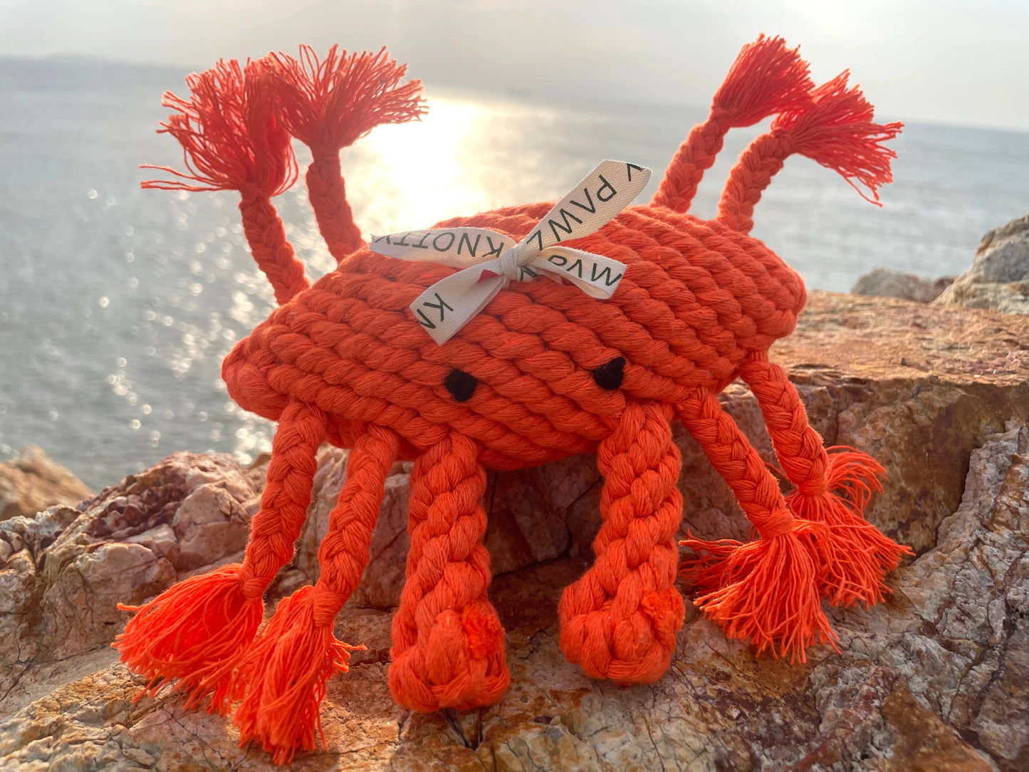 Ocean Pals Rope Toys