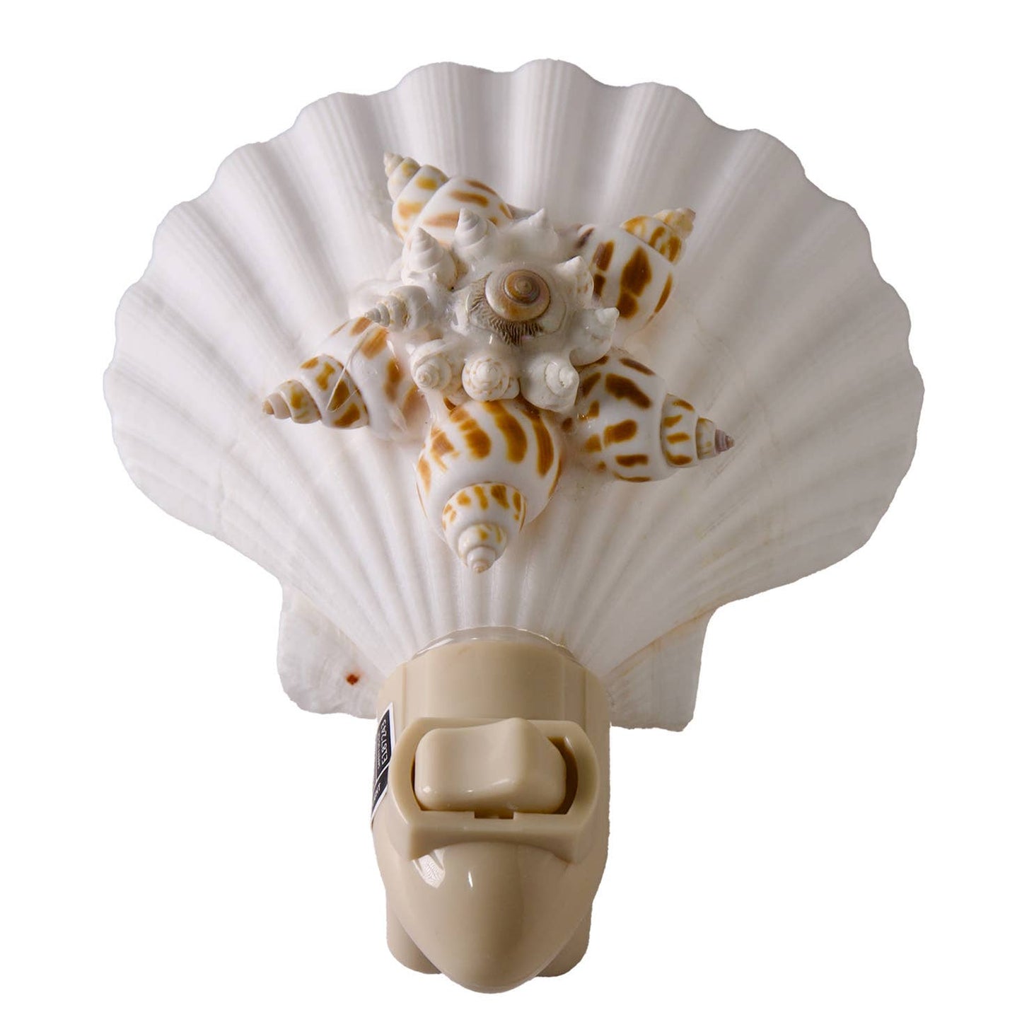 Irish Deep w/ Snail Star LED Boxed Night Light