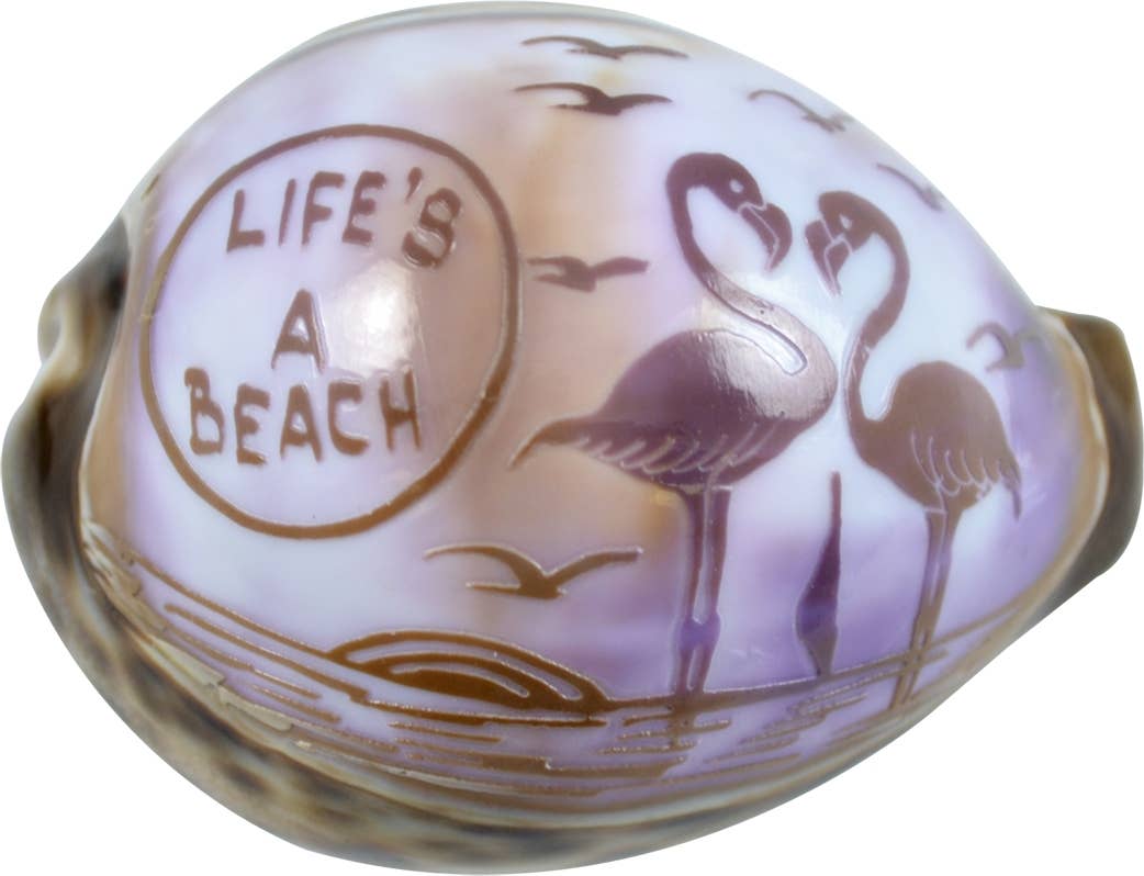 "LIFE'S A BEACH" Carved Cowrie