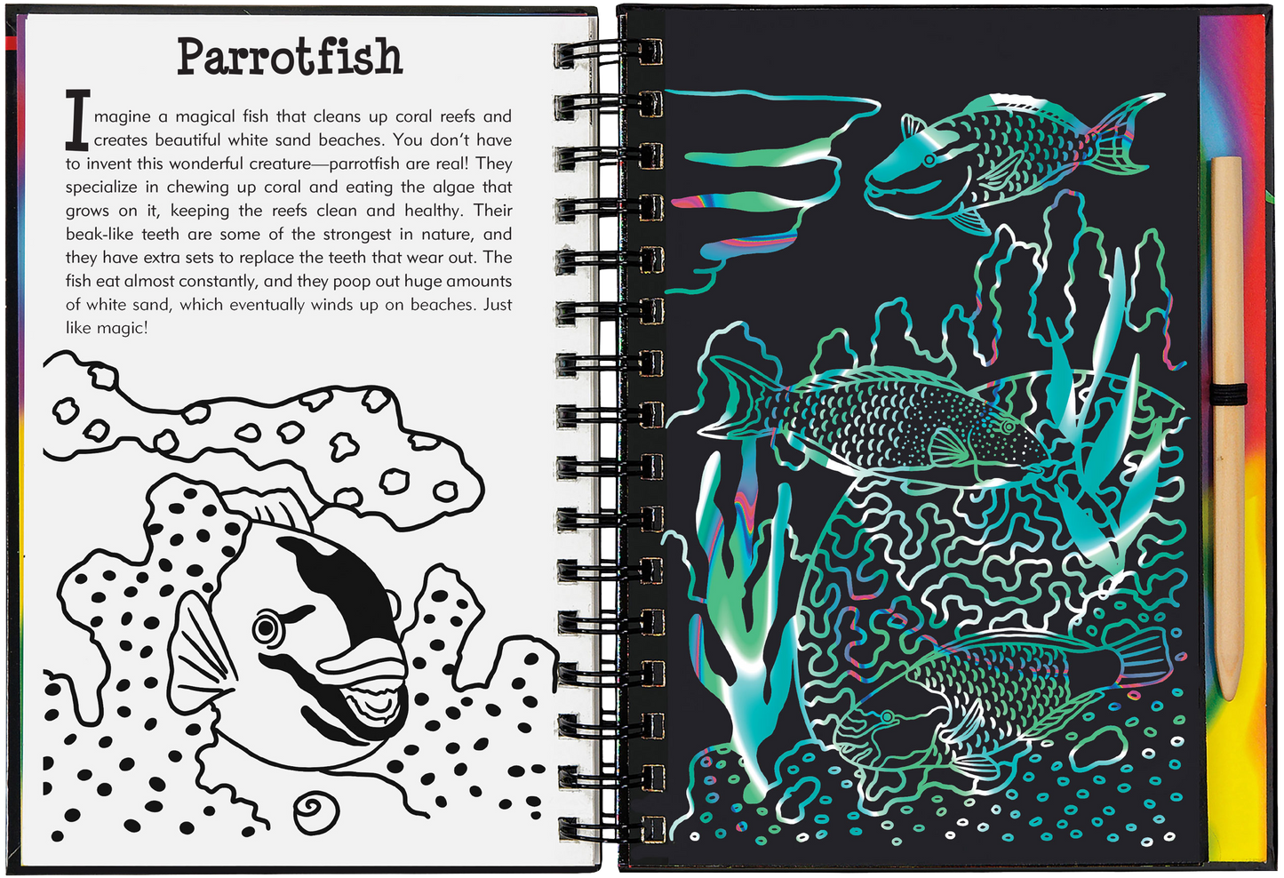 Coral Reefs Scratch and Sketch