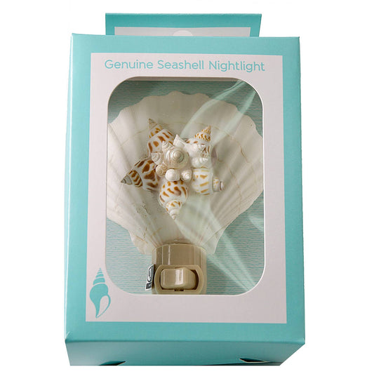 Irish Deep w/ Snail Star LED Boxed Night Light