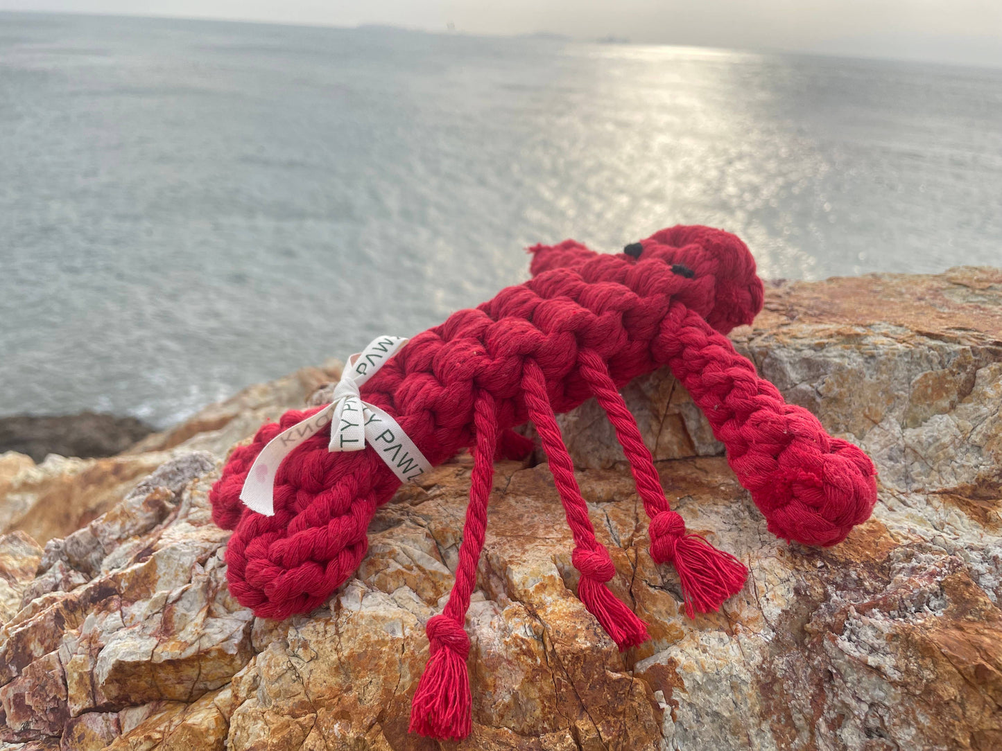 Ocean Pals Rope Toys