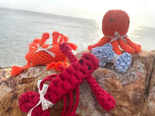 Ocean Pals Rope Toys