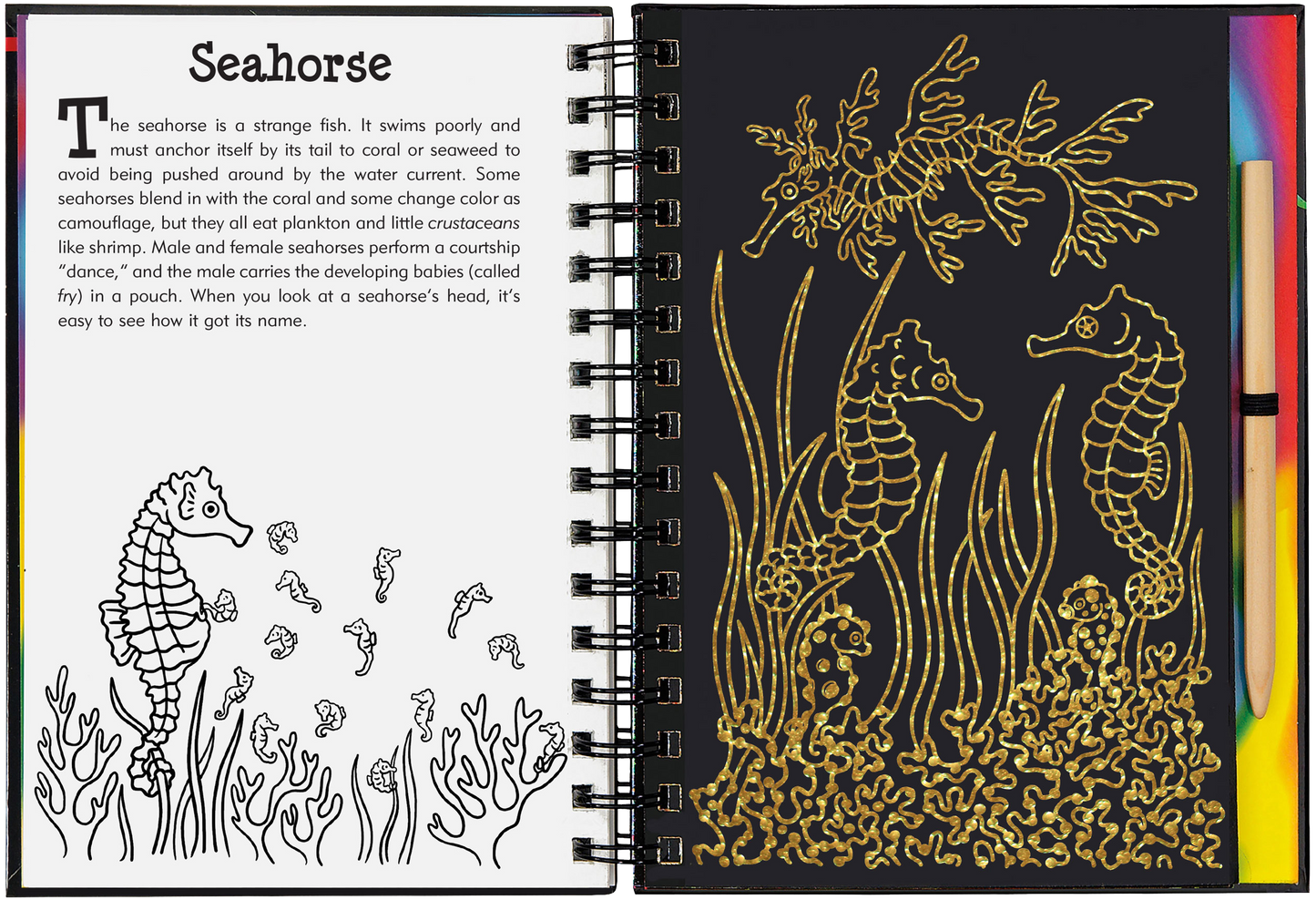 Coral Reefs Scratch and Sketch