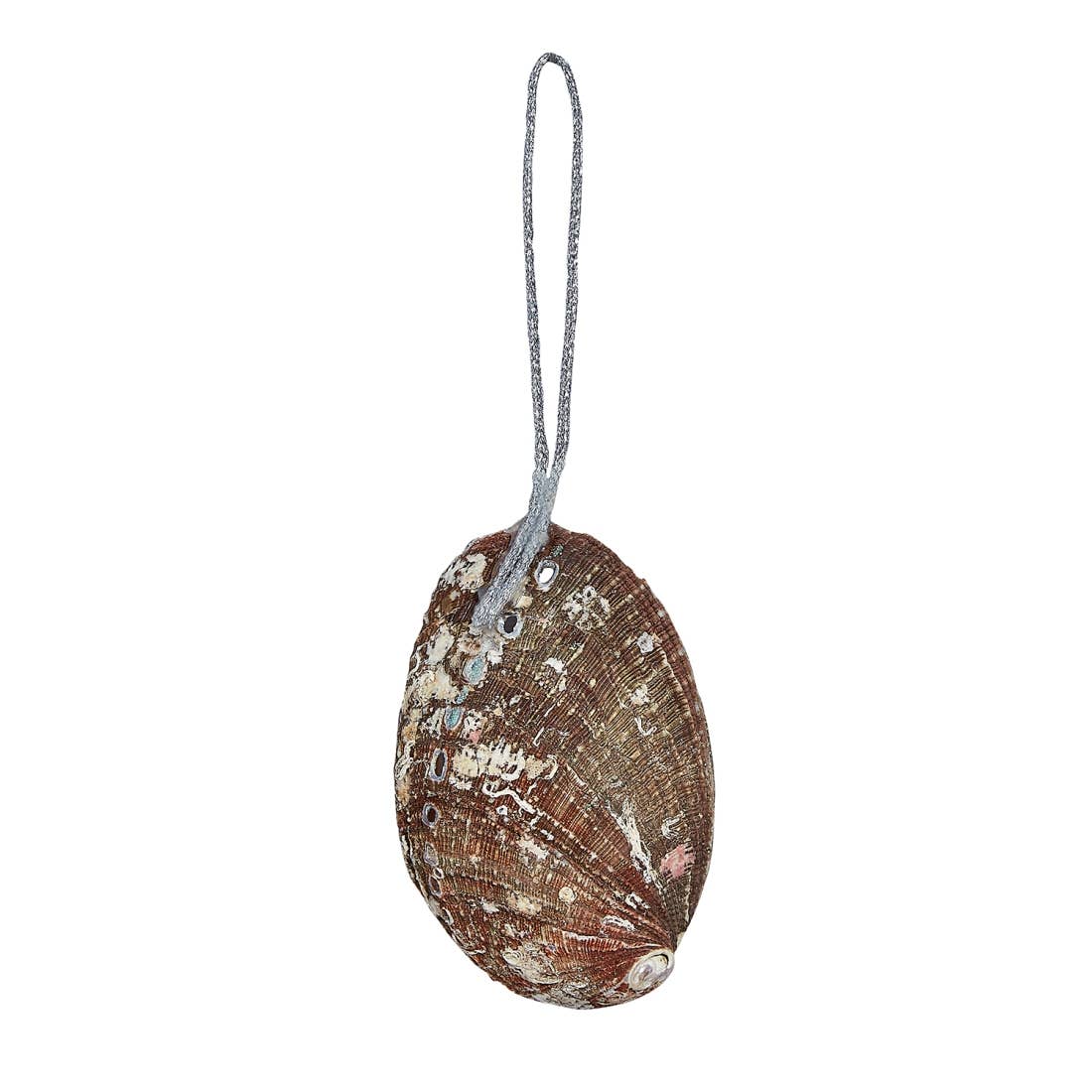 Abalone with Nativity Ornament