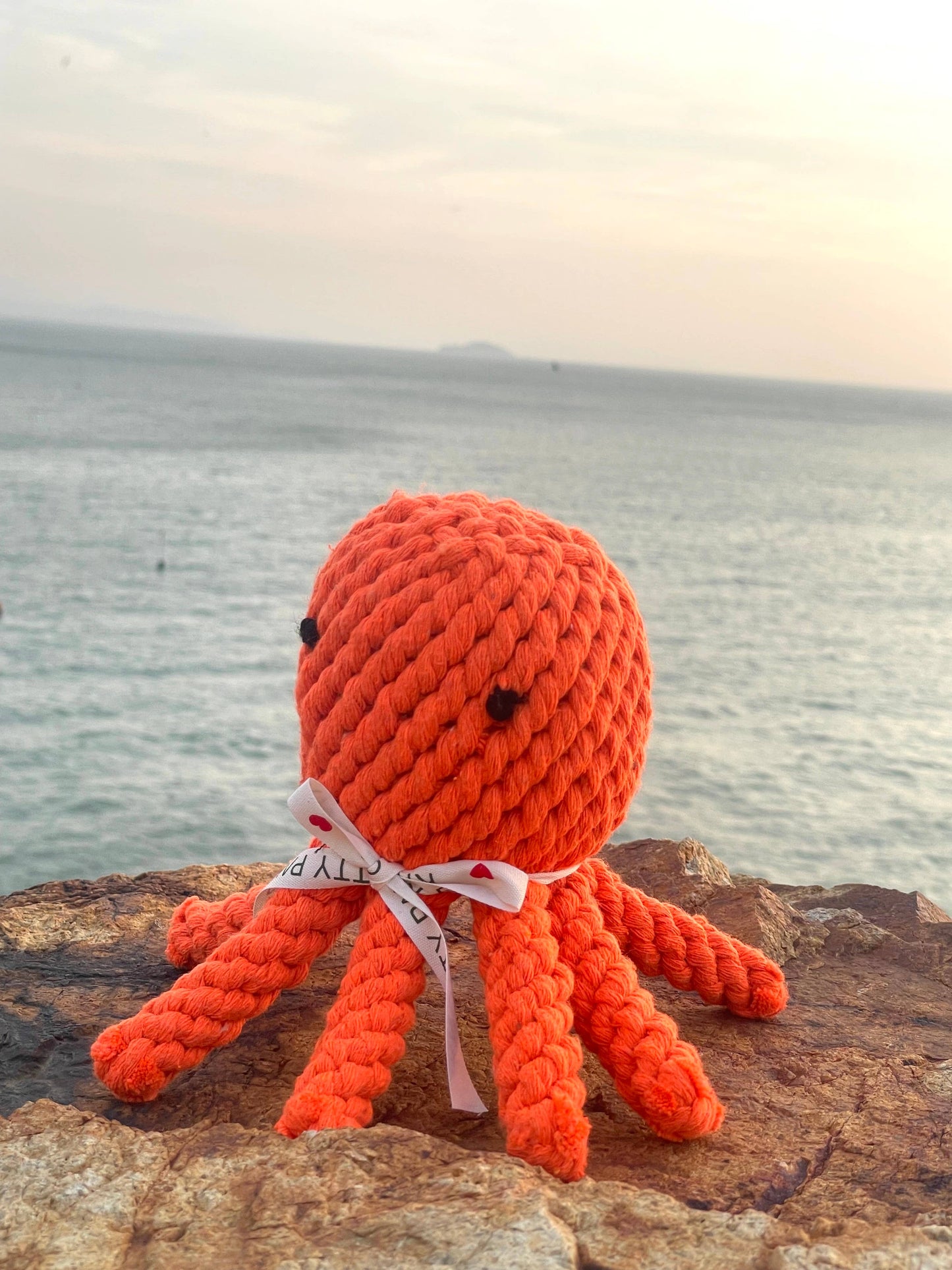 Ocean Pals Rope Toys