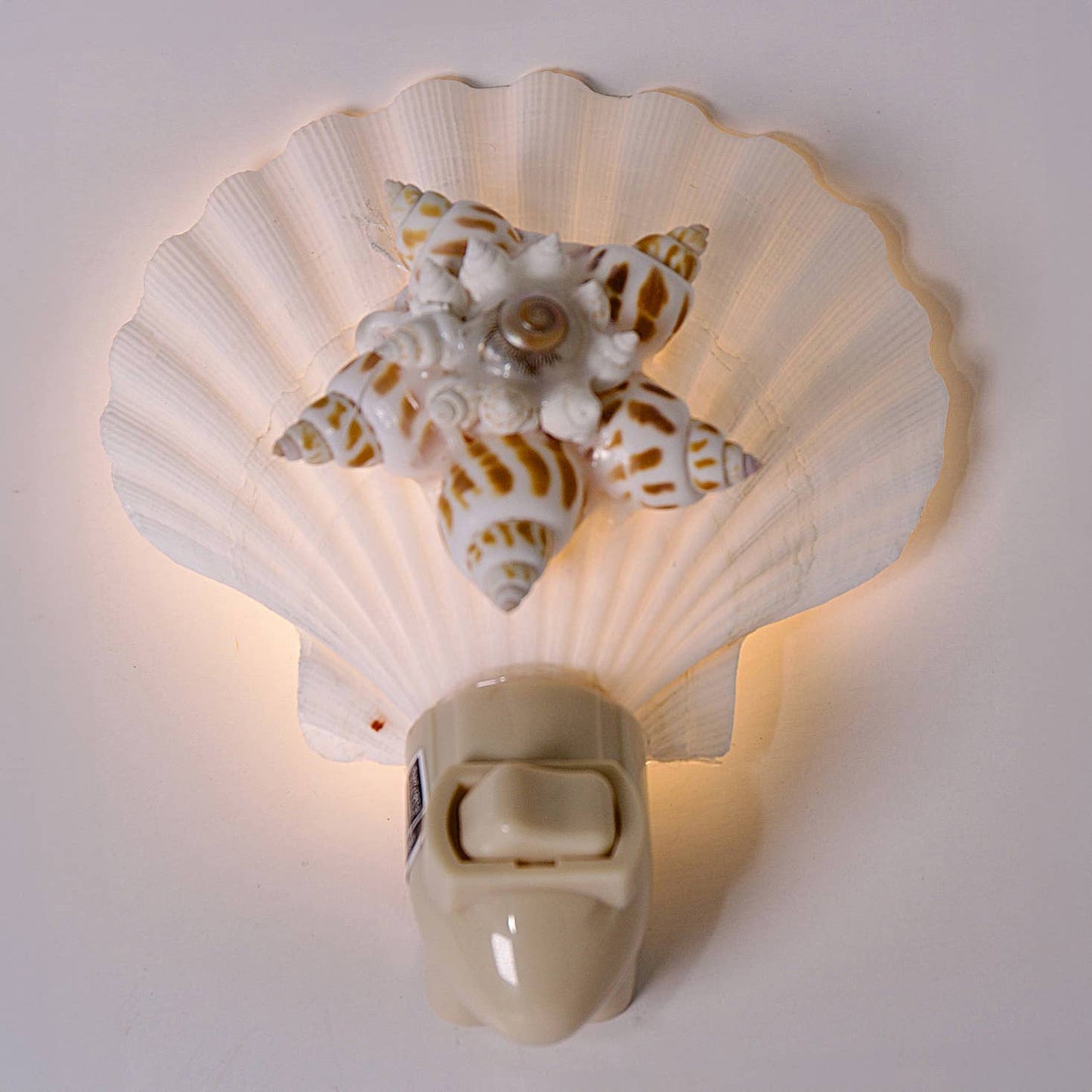Irish Deep w/ Snail Star LED Boxed Night Light