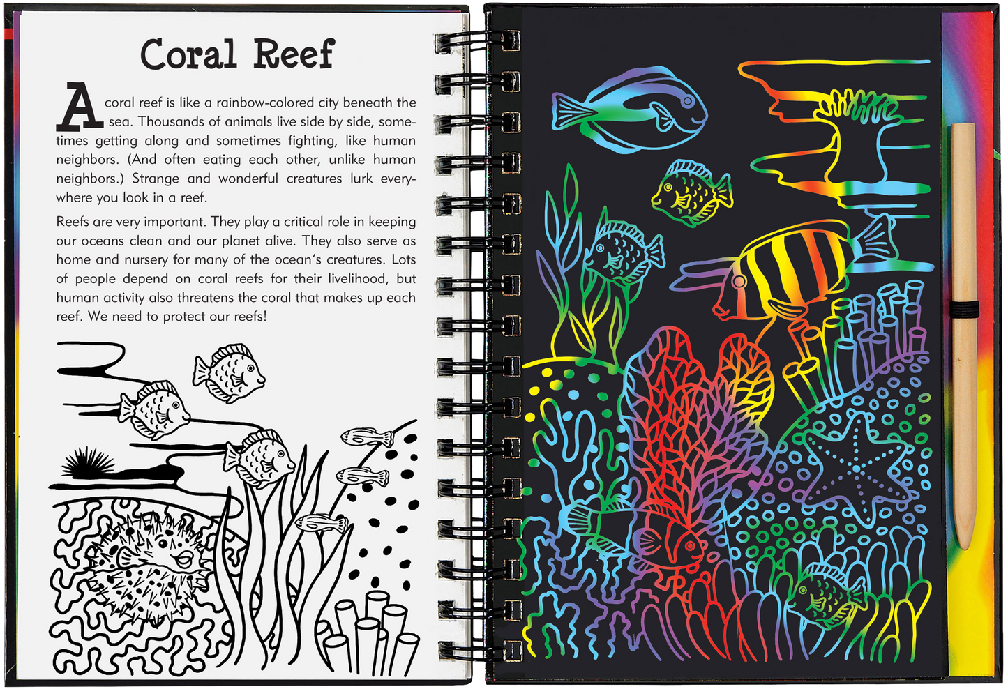 Coral Reefs Scratch and Sketch